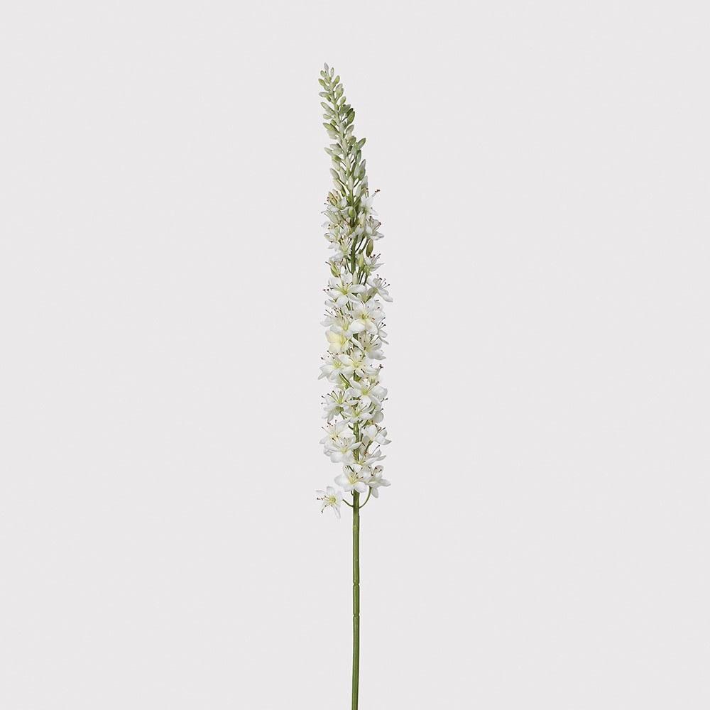 Beautiful tall and slim Eremerus stem, a spray of realistic delicate flowers in off white, sold as a pack of 6.  Dimensions: H:1050 mm  Delivery: 7-10 working days
